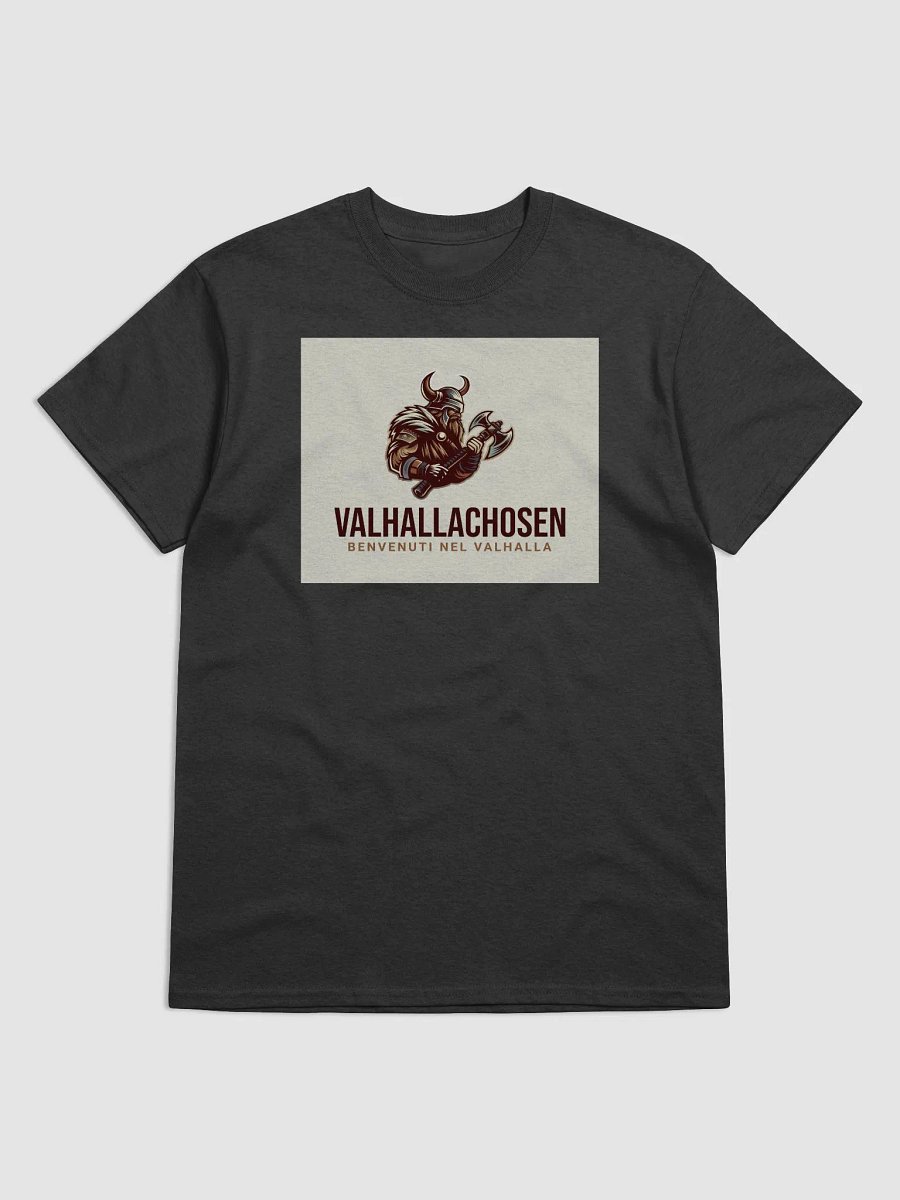 Valhalla Warrior Relic Tee product image (5)