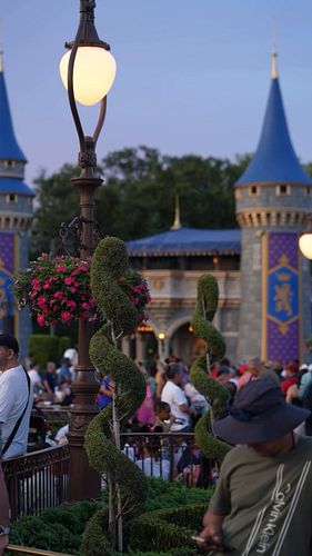 First!! Save this post for later and share with a friend!

There is so much to be excited about that is happening at Walt Dis...