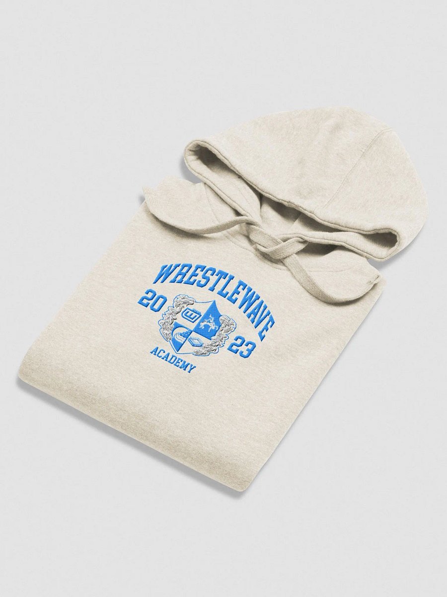 Wrestlewave Academy Varsity Hoodie product image (4)