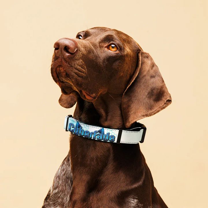 Collar product image (2)