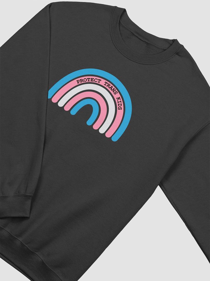 Protect Trans Kids Crewneck product image (15)