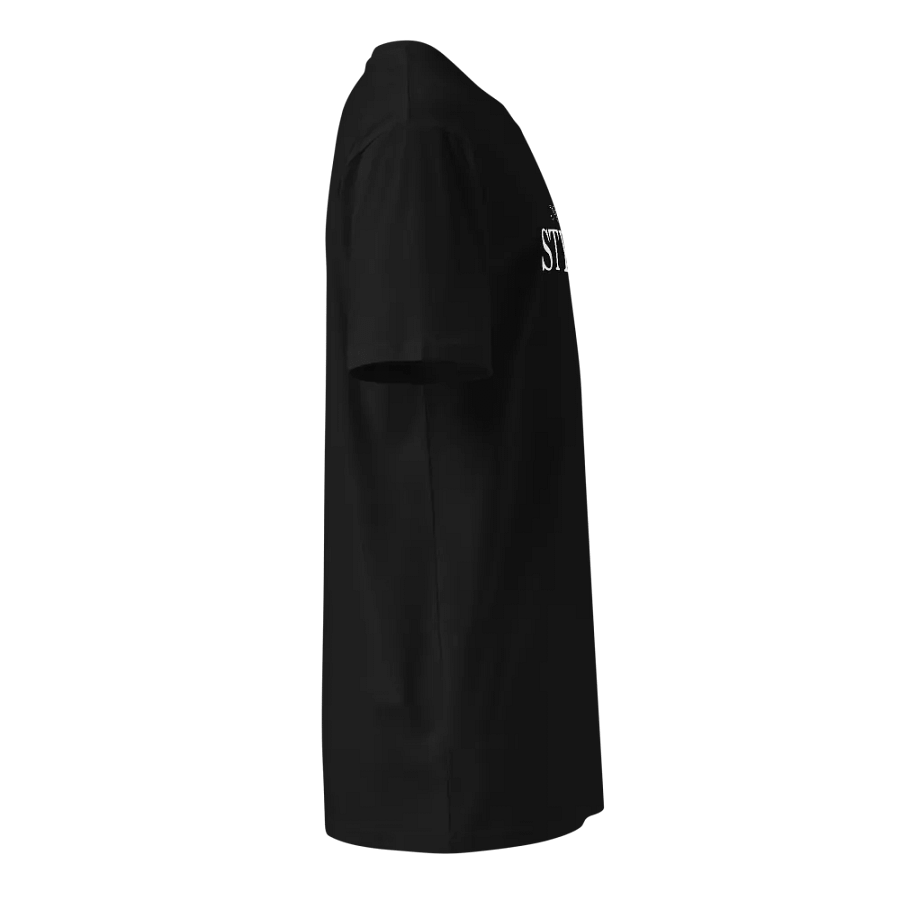 Queries STYLE Tee product image (4)