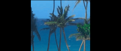 decemba - Extremely light GIF screensaver slideshow widget product image (1)
