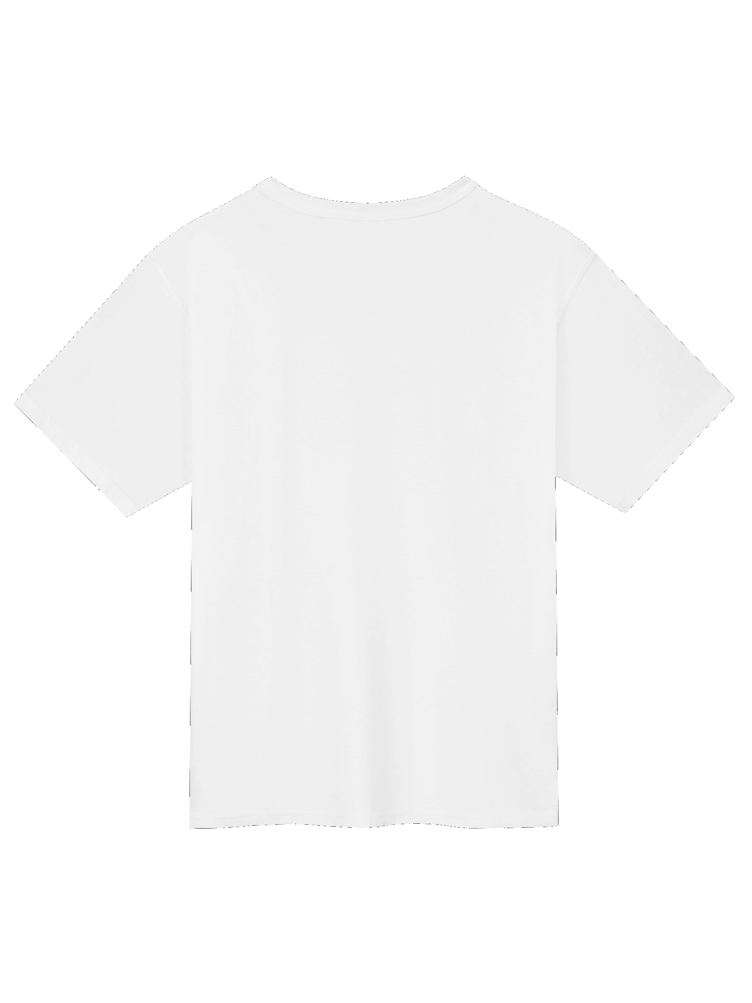Certified Silly Goose Shirt | A Company, Inc. product image (5)