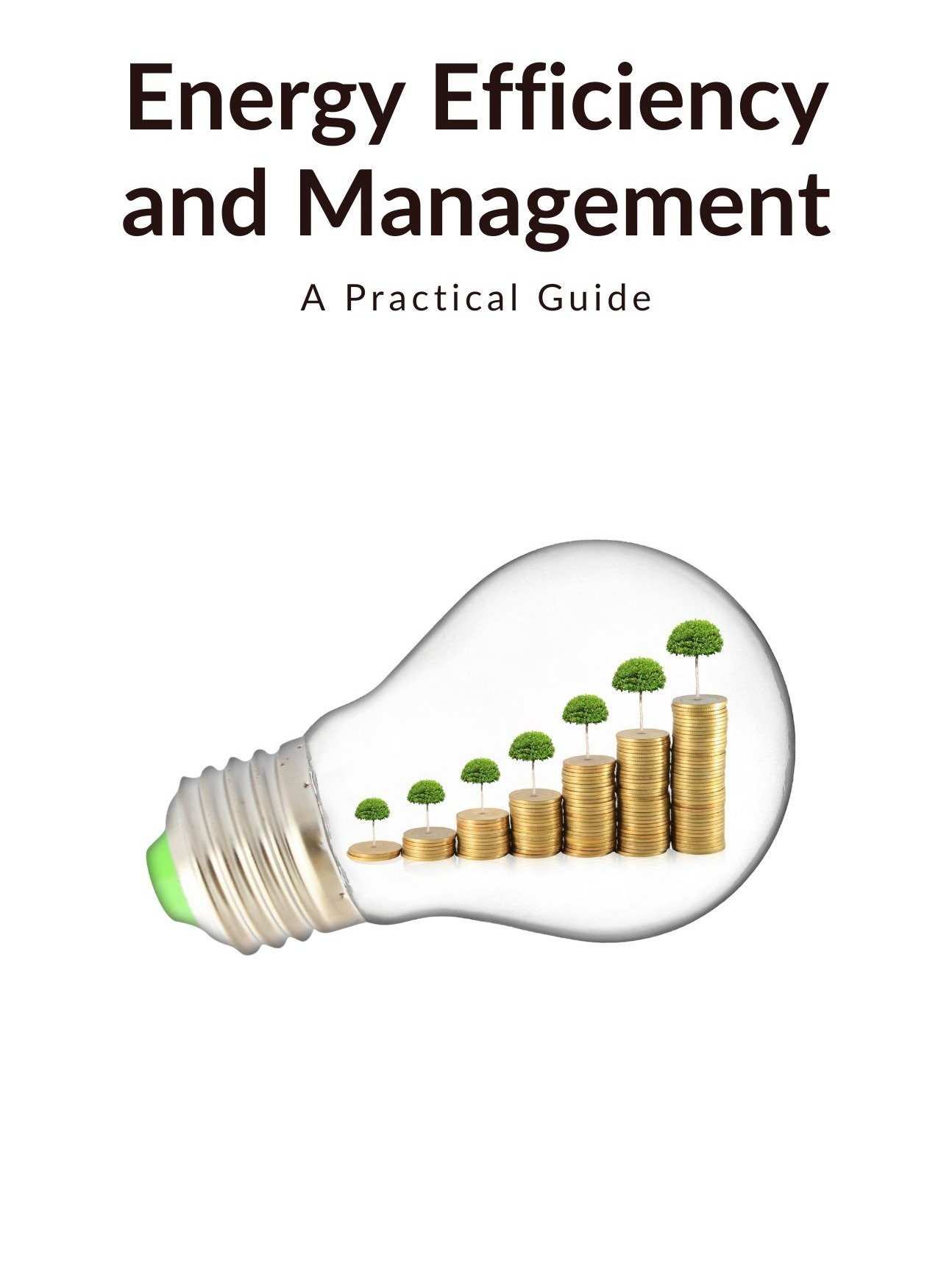 Energy Efficiency and Management product image (2)
