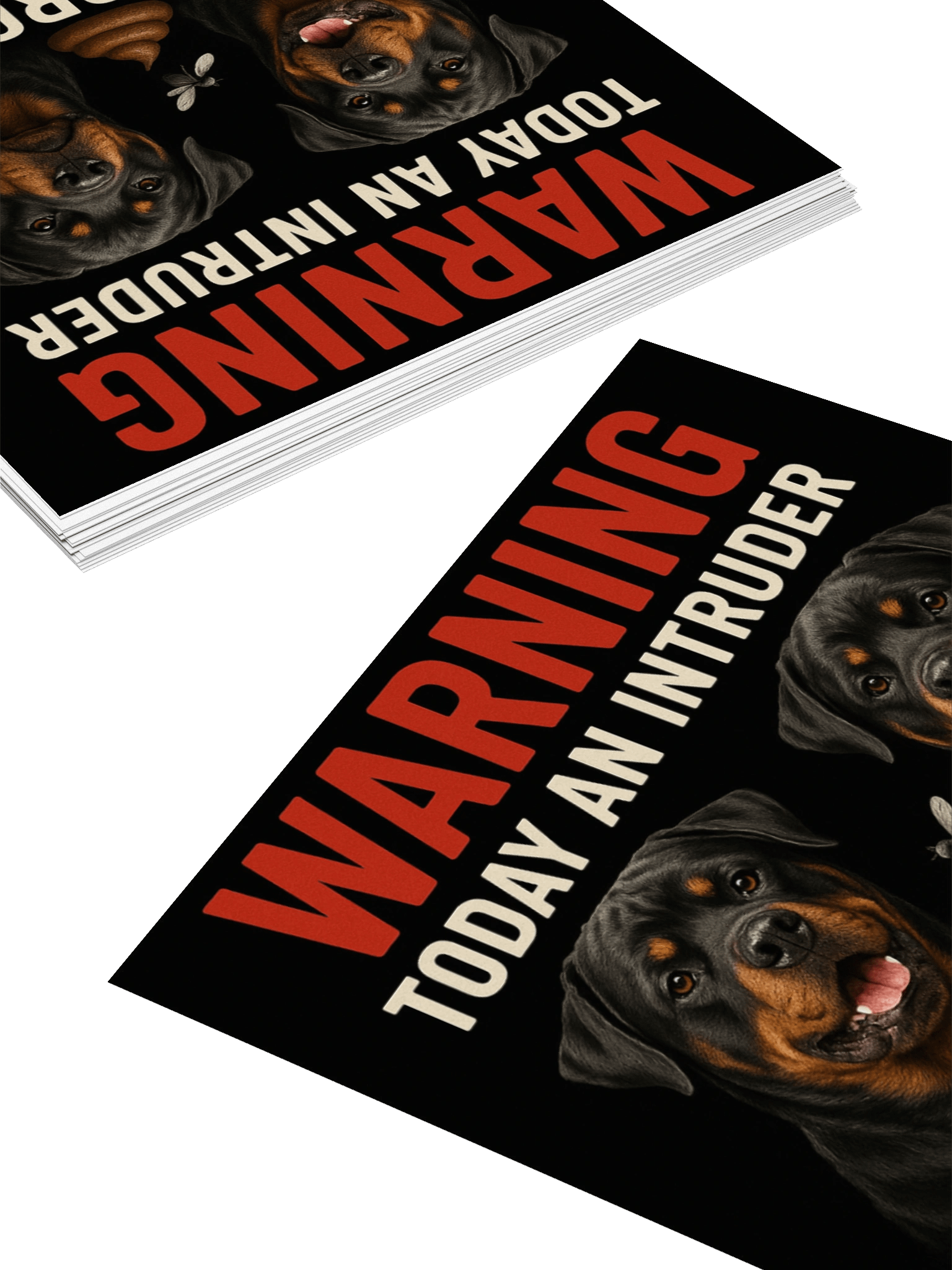 Rottweiler Intruder Alert Sticker product image (11)