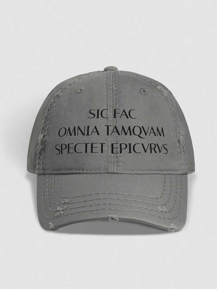 SFOTSE DARK (Otto Distressed Dad Hat) product image (2)