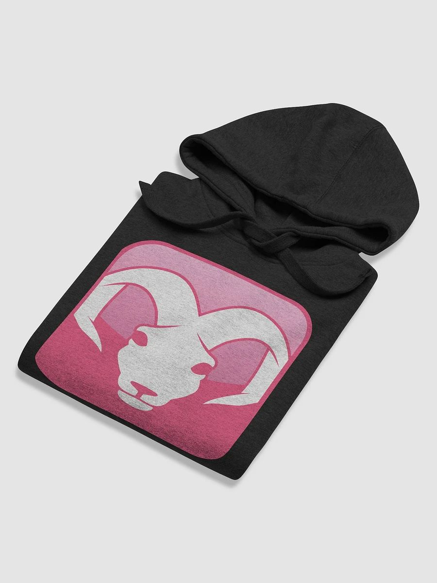 ARIES Hoodie product image (6)