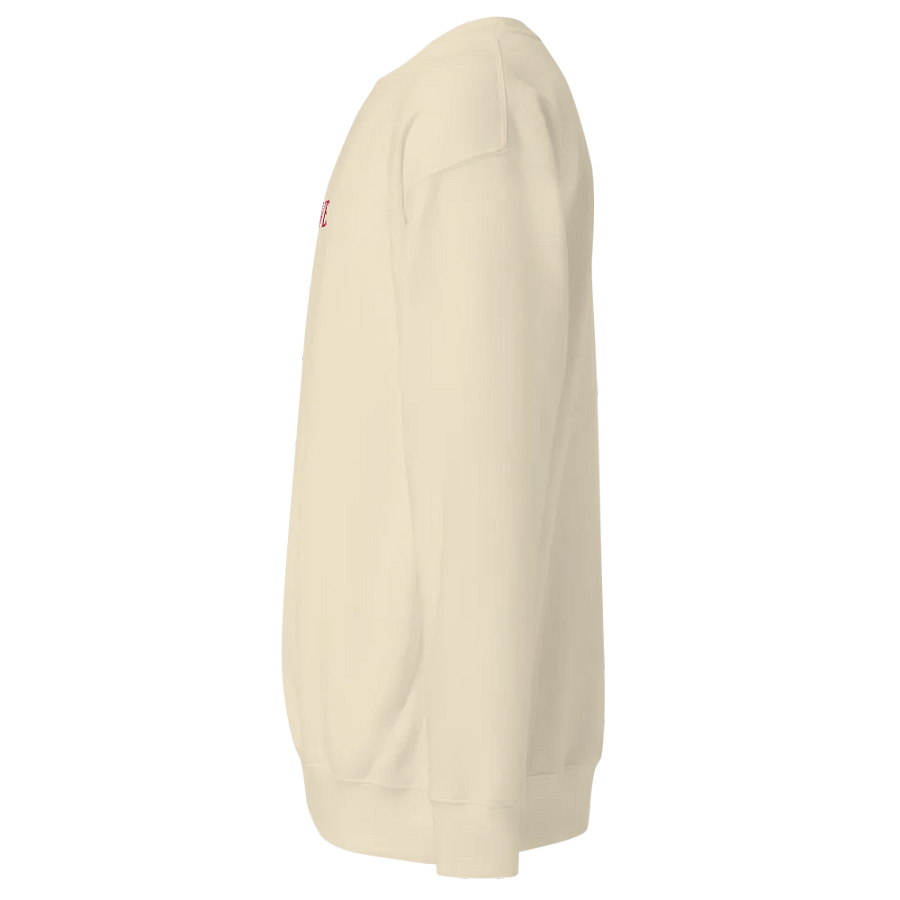 "LOVE" ⎼⎼⎼ 'ESSENTIAL' SWEATSHIRT product image (2)