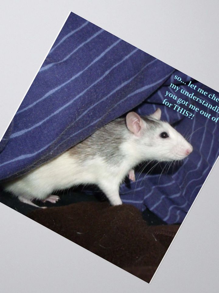 Annoyed husky rat sticker product image (6)