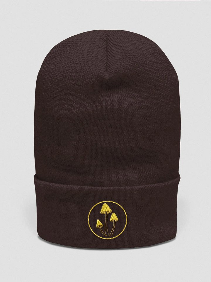 Beanie product image (4)