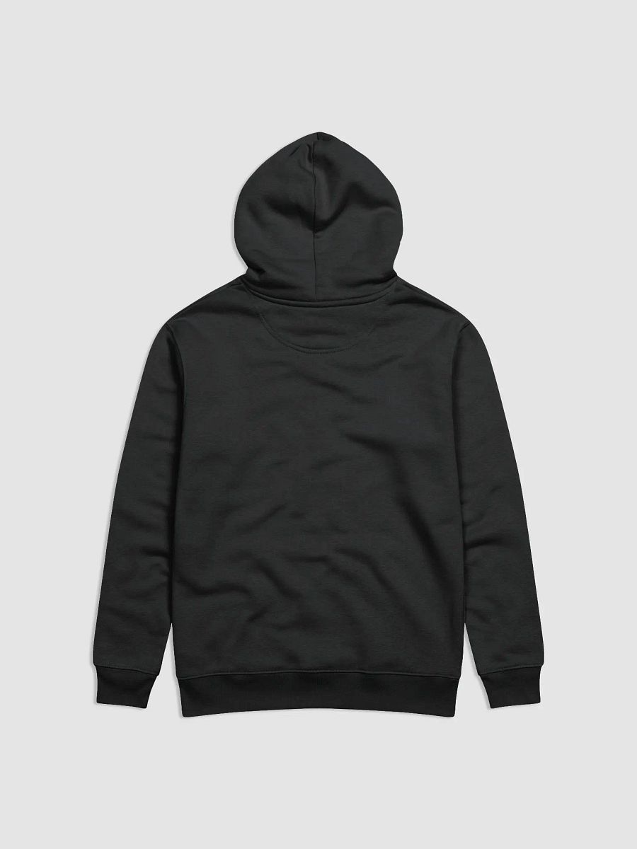 Joyful Eco Hoodie product image (2)