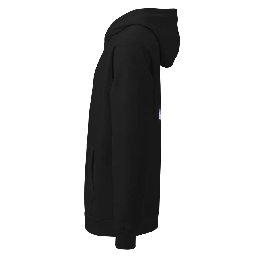Abandoned Oz + Under Armour Hoodie product image (9)