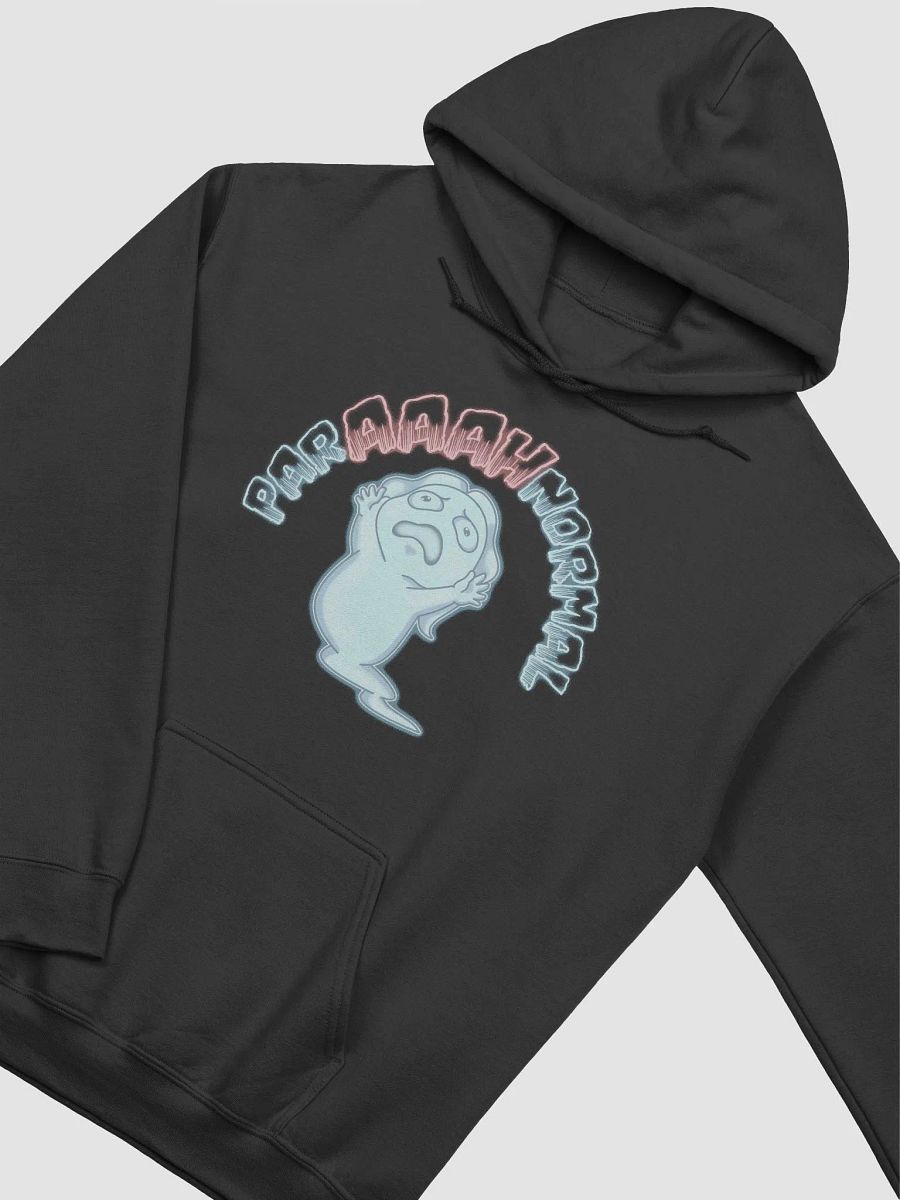 The ParAAAHnormal Hoodie product image (9)