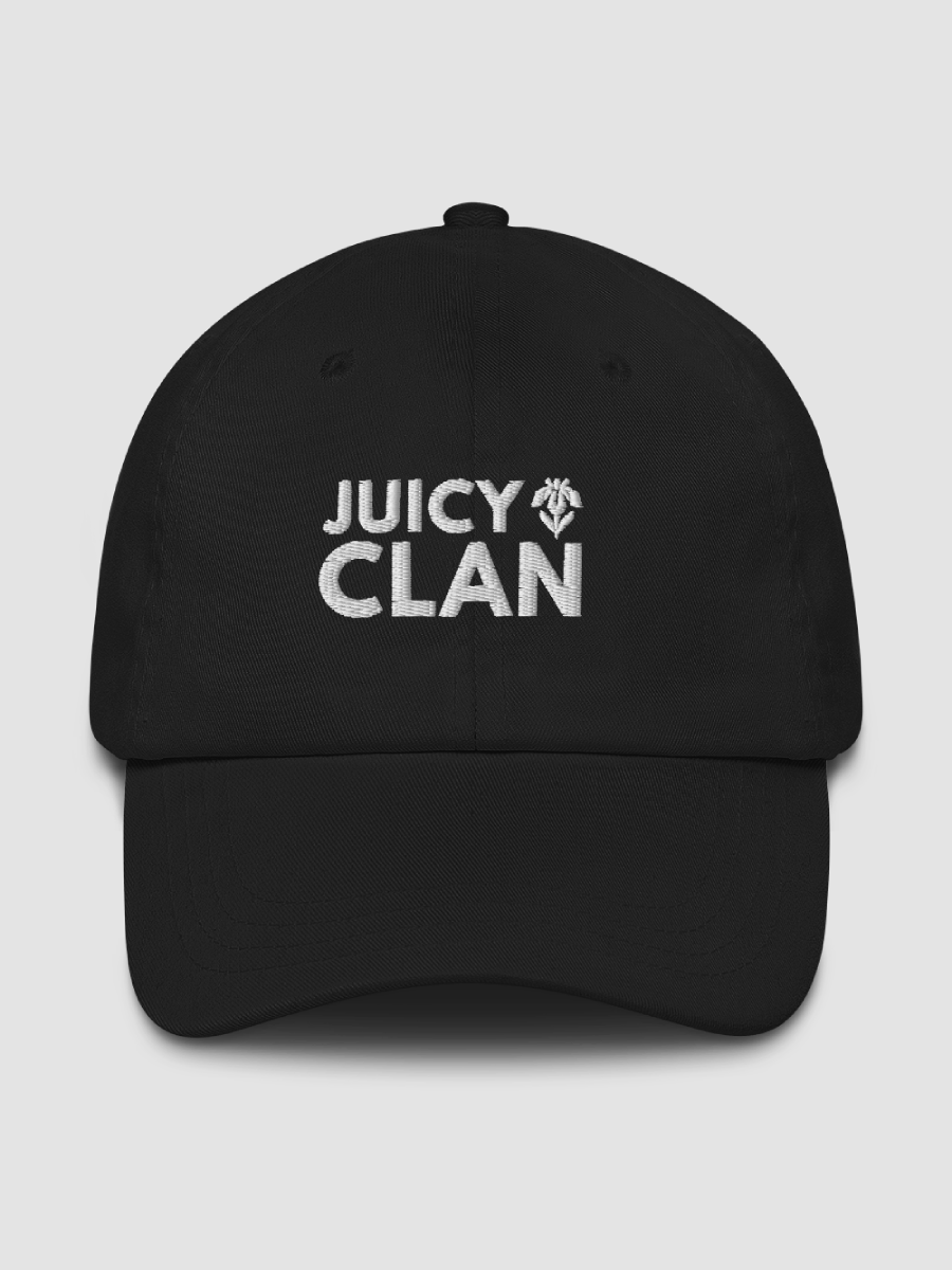 Embroidered Dad Hat - JUICY CLAN product image (1)