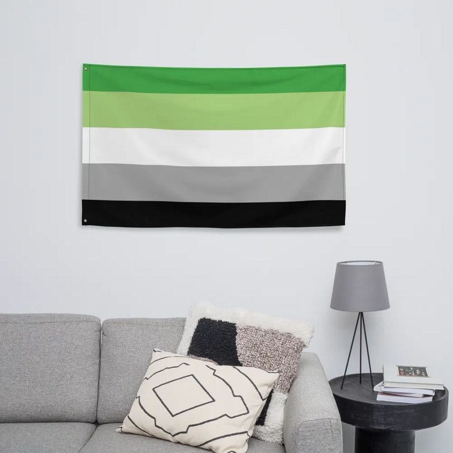 Aromantic Flag product image (8)