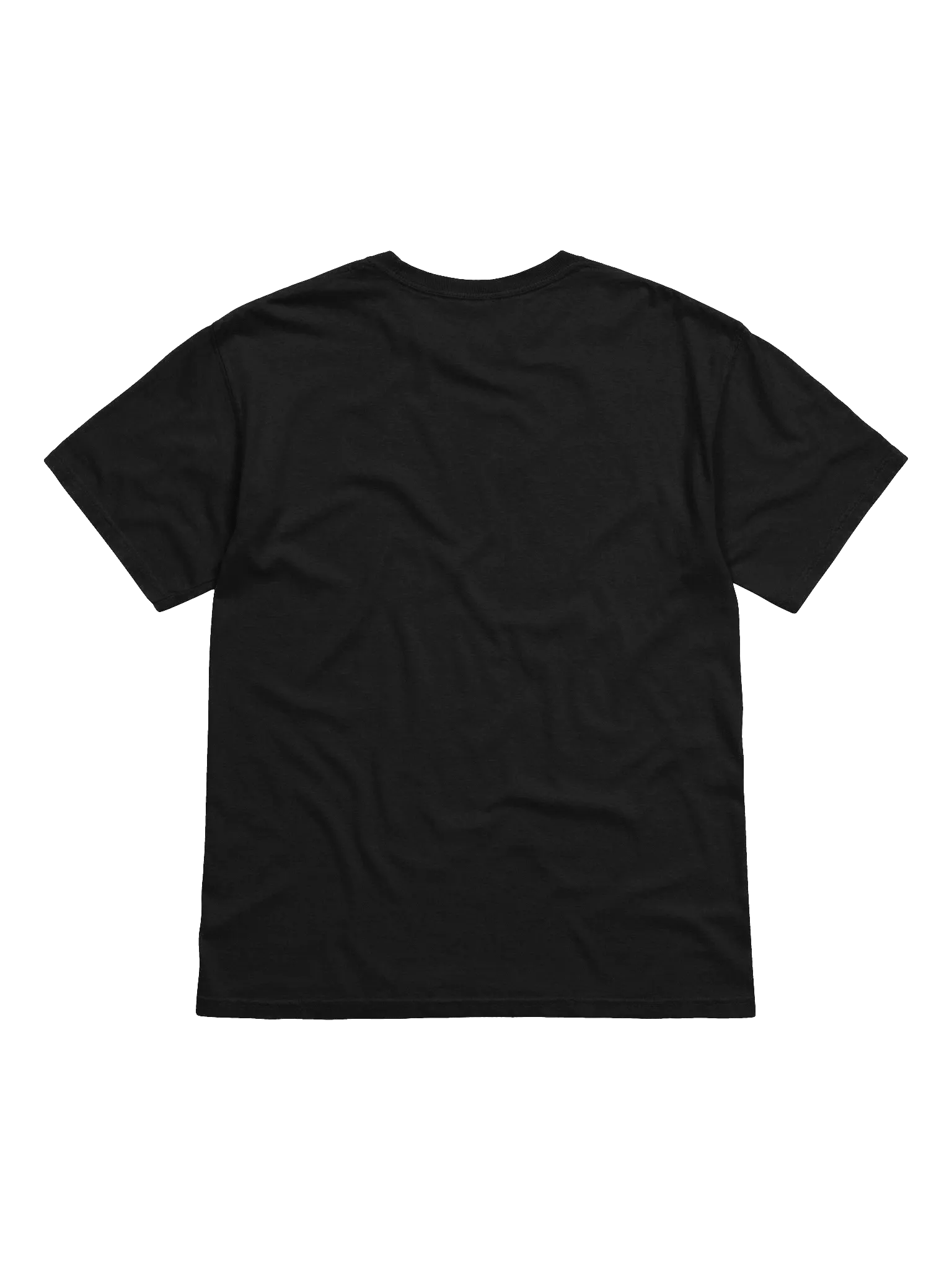 Champions of The Table - Embroidered Corner Logo Tee product image (2)