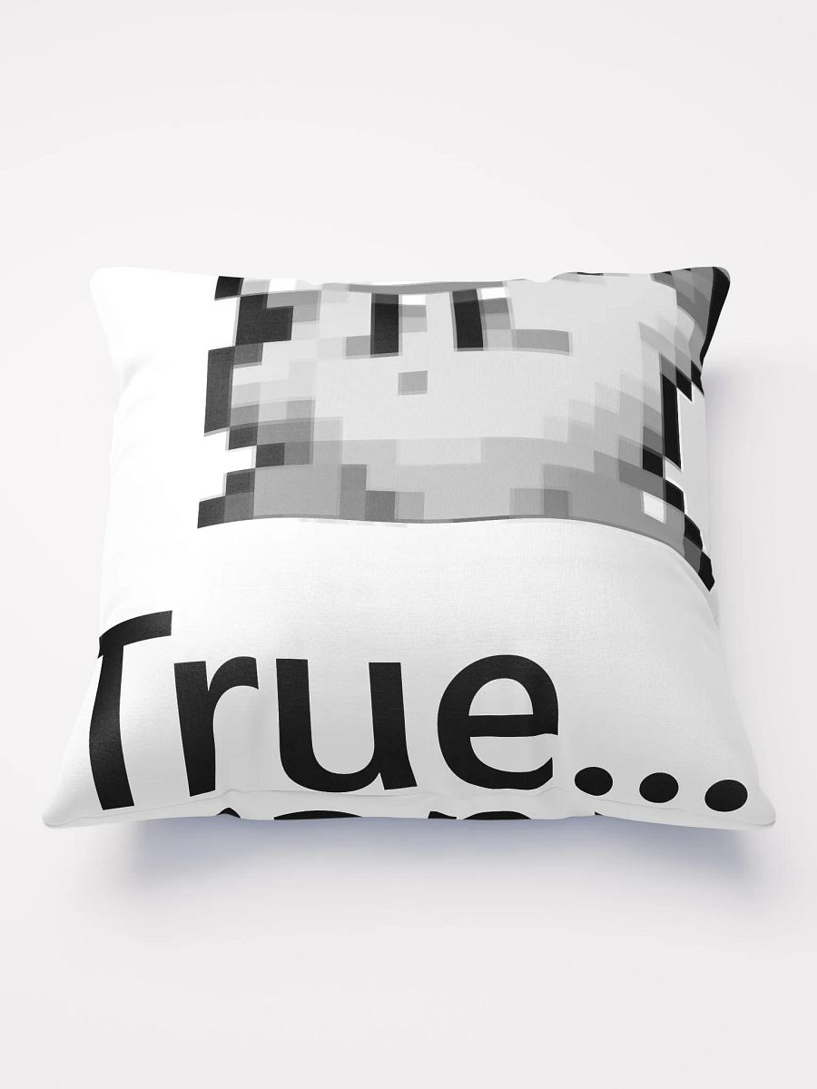 True... Pillow product image (1)