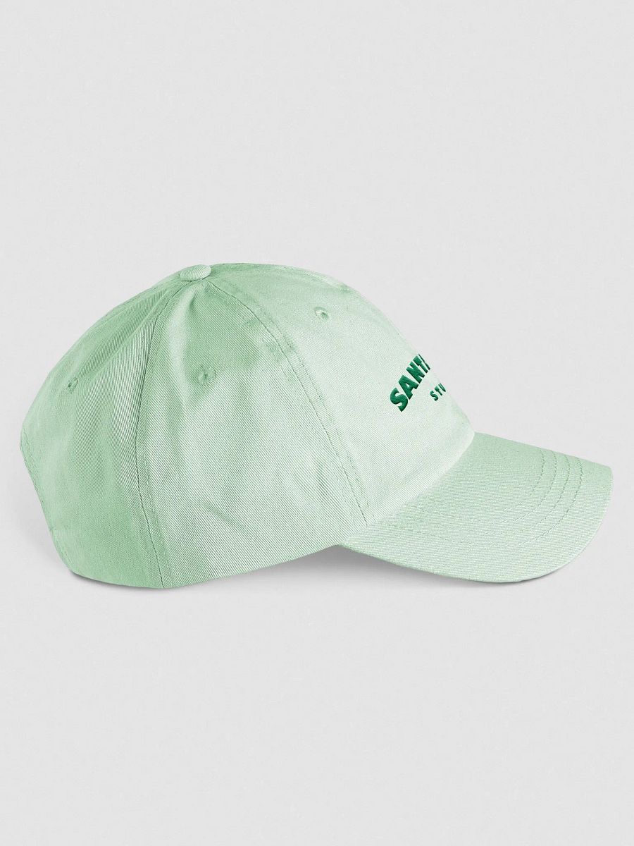 Mint Green Santagato Studios Hat product image (4)