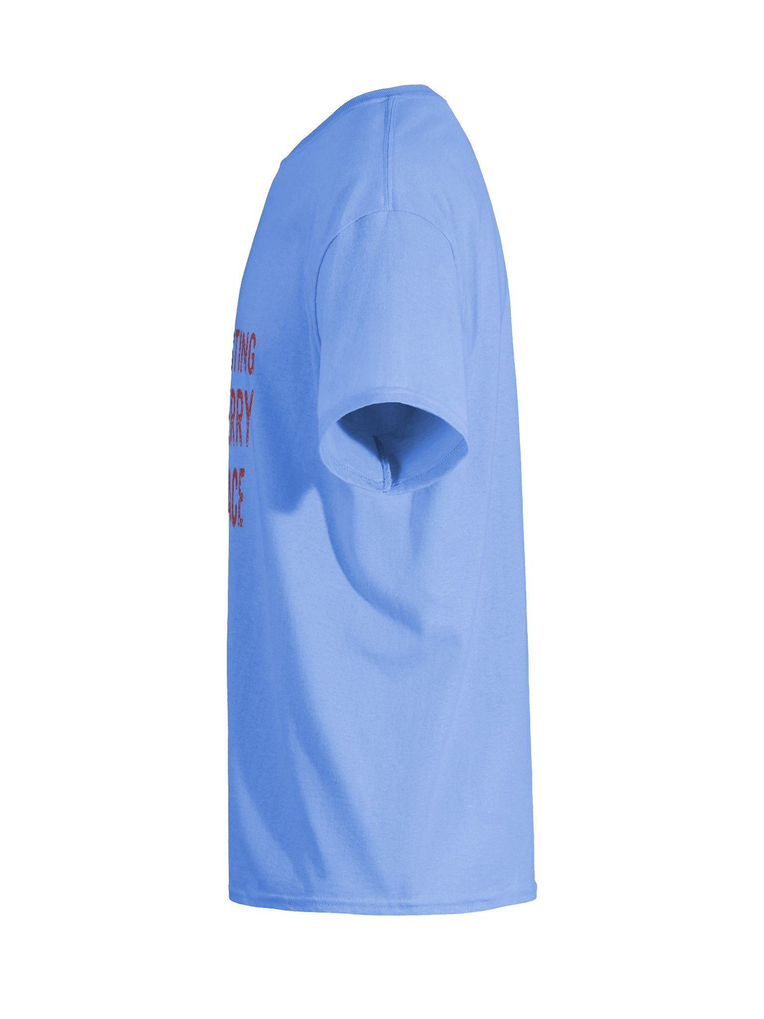 Merry Santa Vibes T-Shirt product image (59)