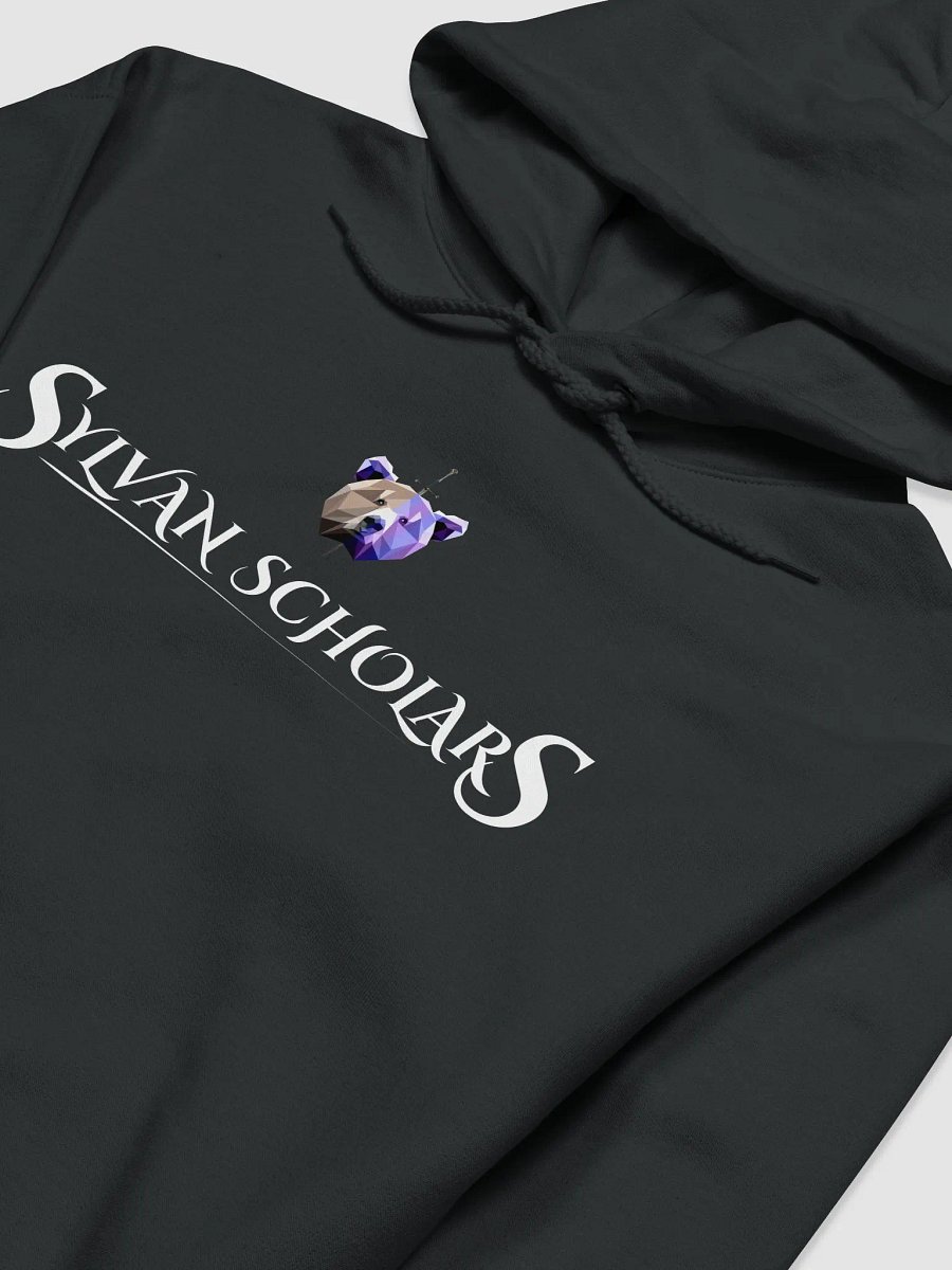 SylvanScholar Hoodie Regular product image (3)