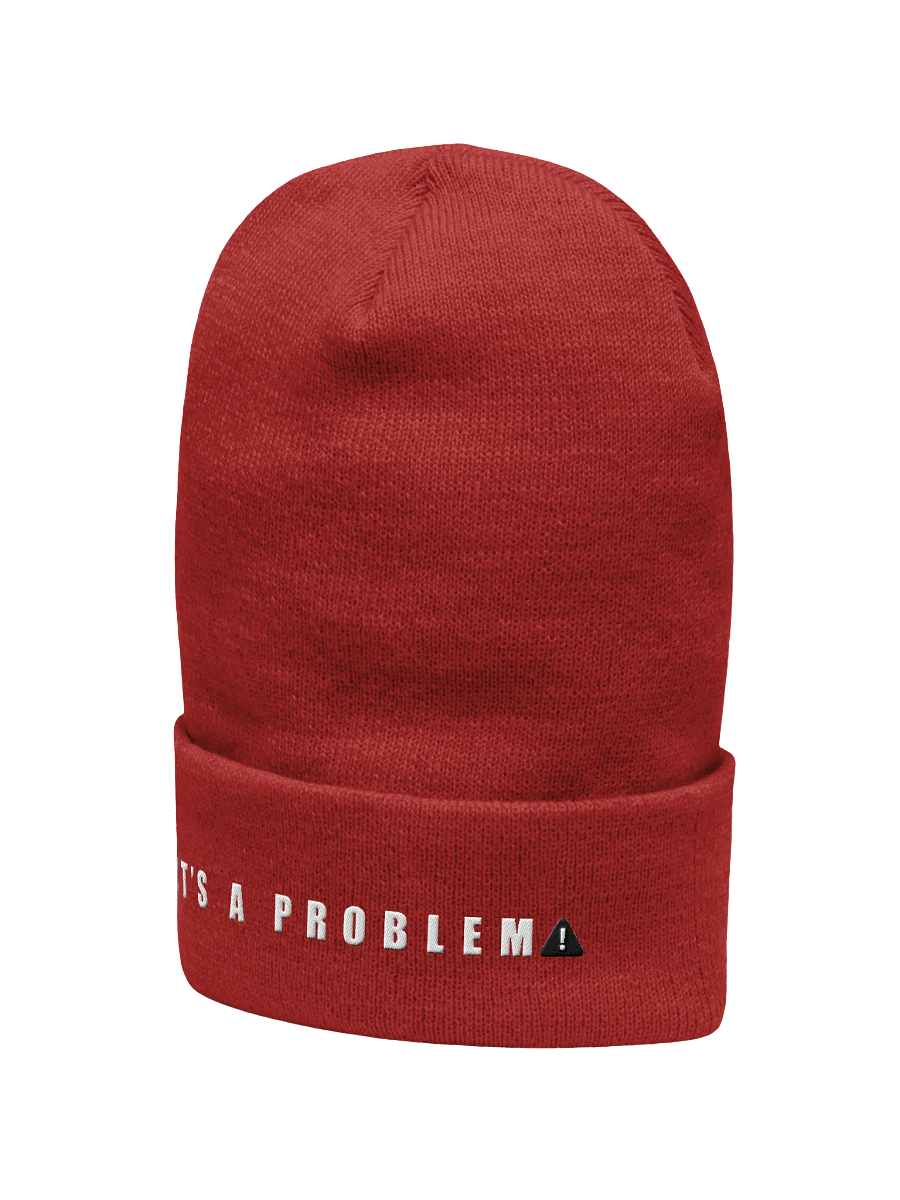 Yupoong Cuffed Beanie - IT'S A PROBLEM! product image (27)