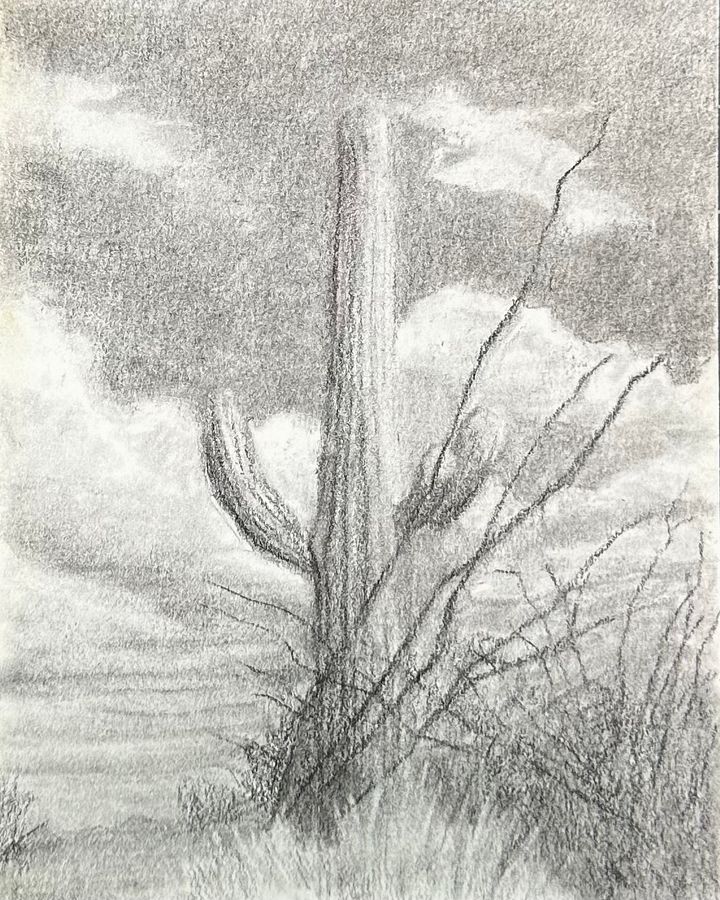 Cactus Scape product image (1)