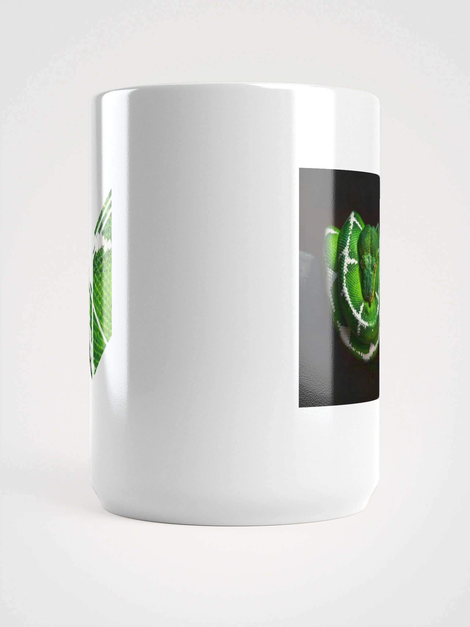 Corallus Caninus Muggy product image (5)