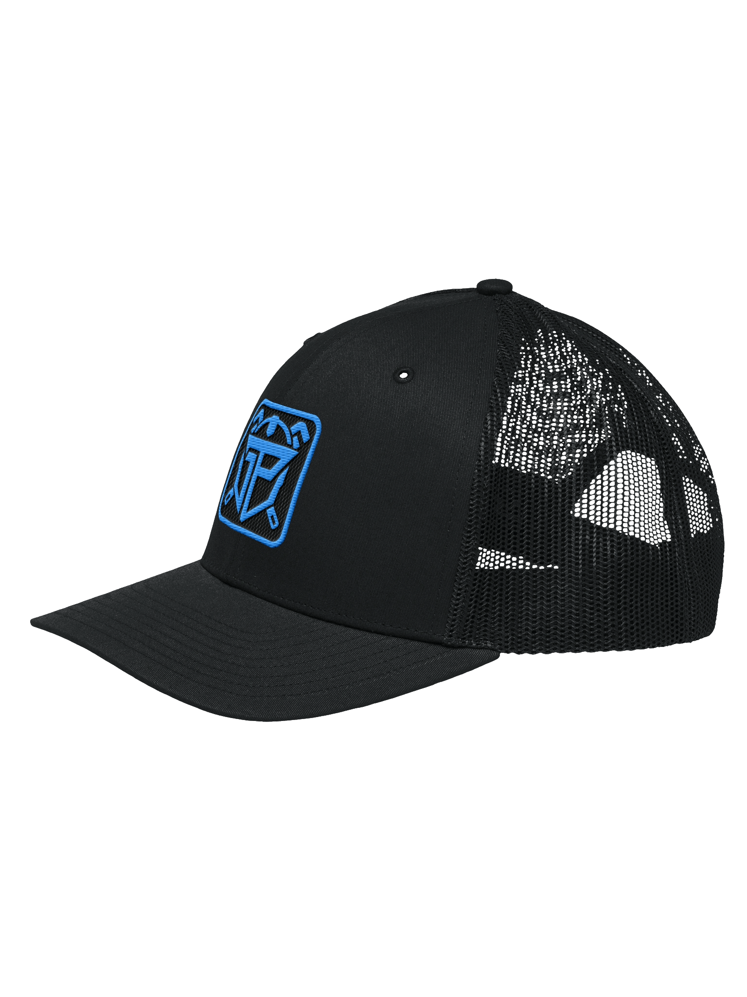 LEGACY BLUE LOGO HAT product image (2)
