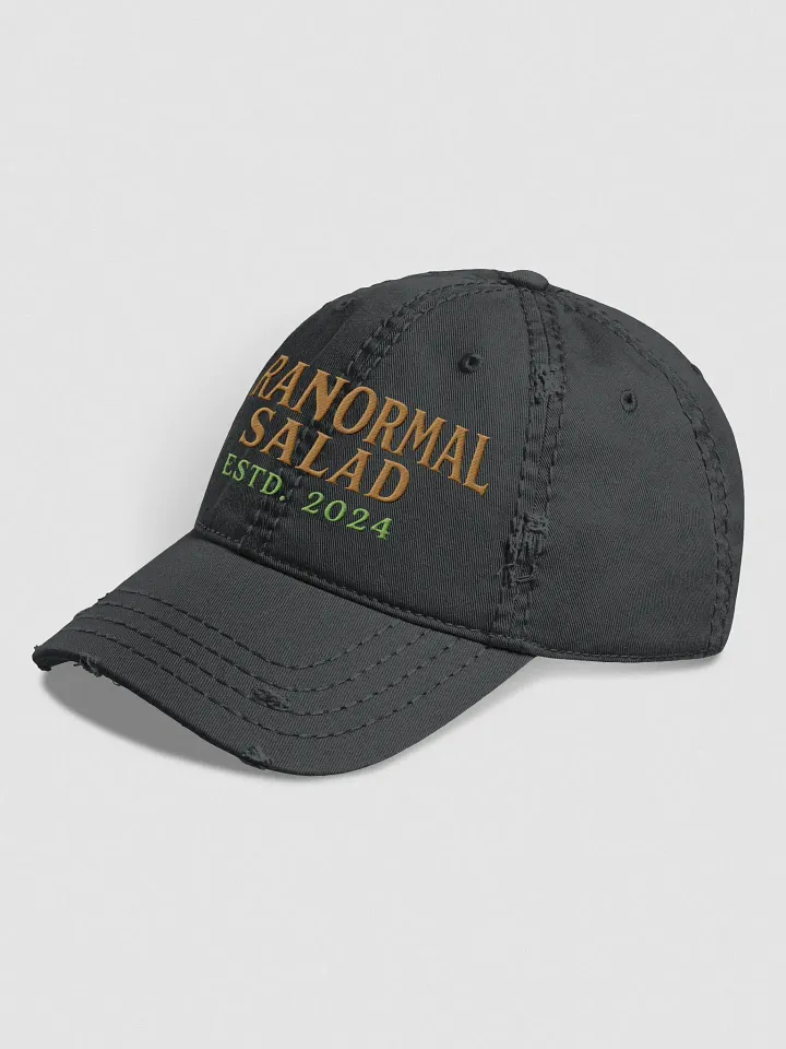 Paranormal Salad Legacy Collection – Official JAX Ember Hat product image (2)
