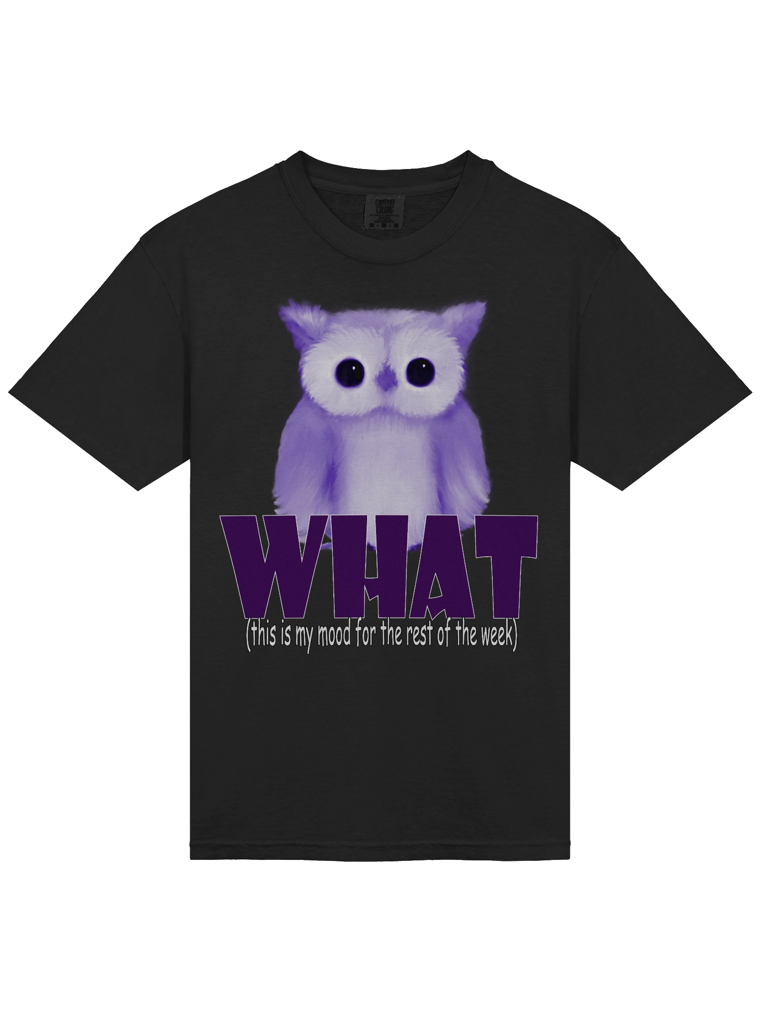 Whimsical 'WHAT.' Owl T-Shirt product image (3)