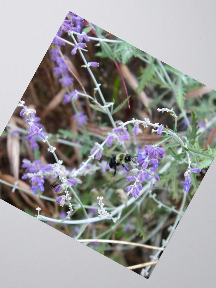 A Study in Flowers 12 - sticker version product image (5)