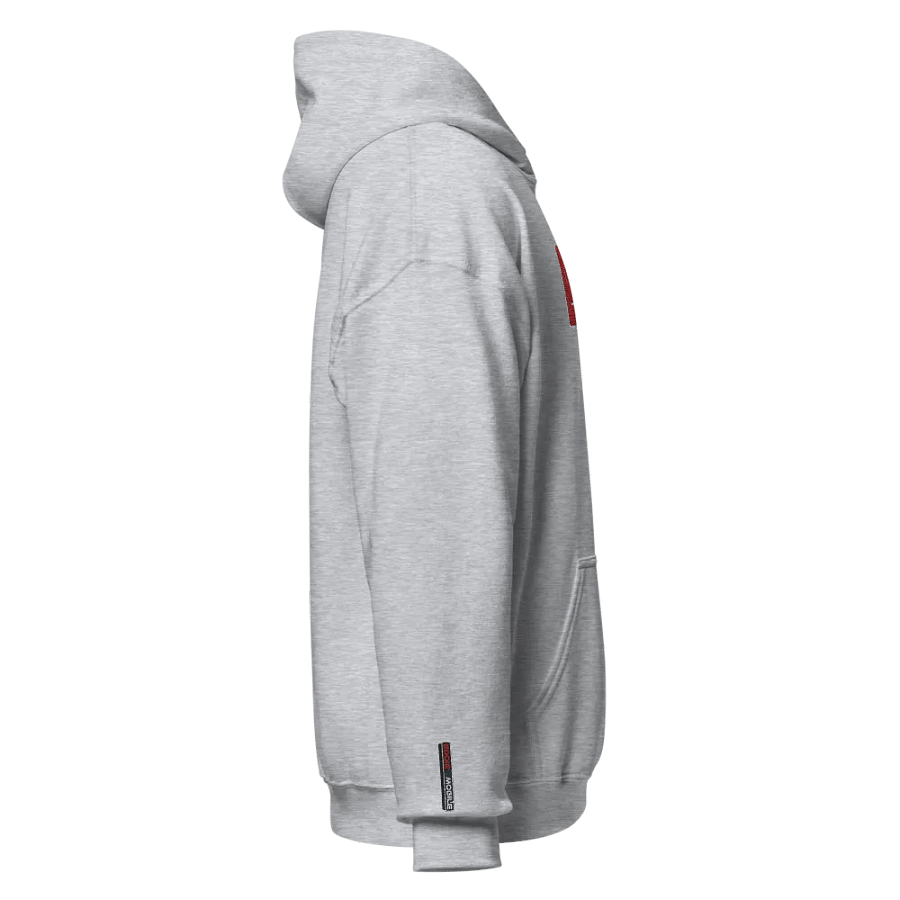 E18 Embroidered Logo Hoodie product image (3)