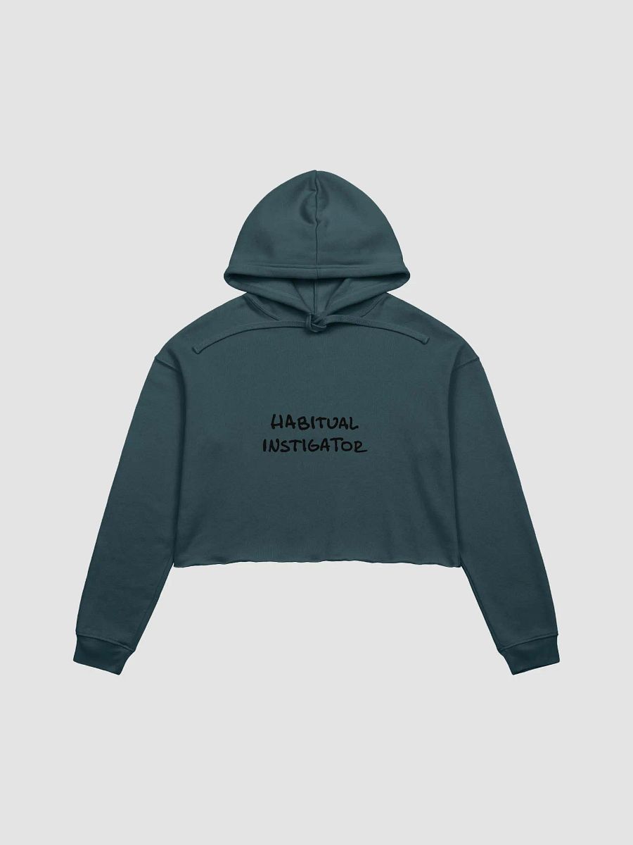 Habitual Instigator cropped hoodie product image (2)