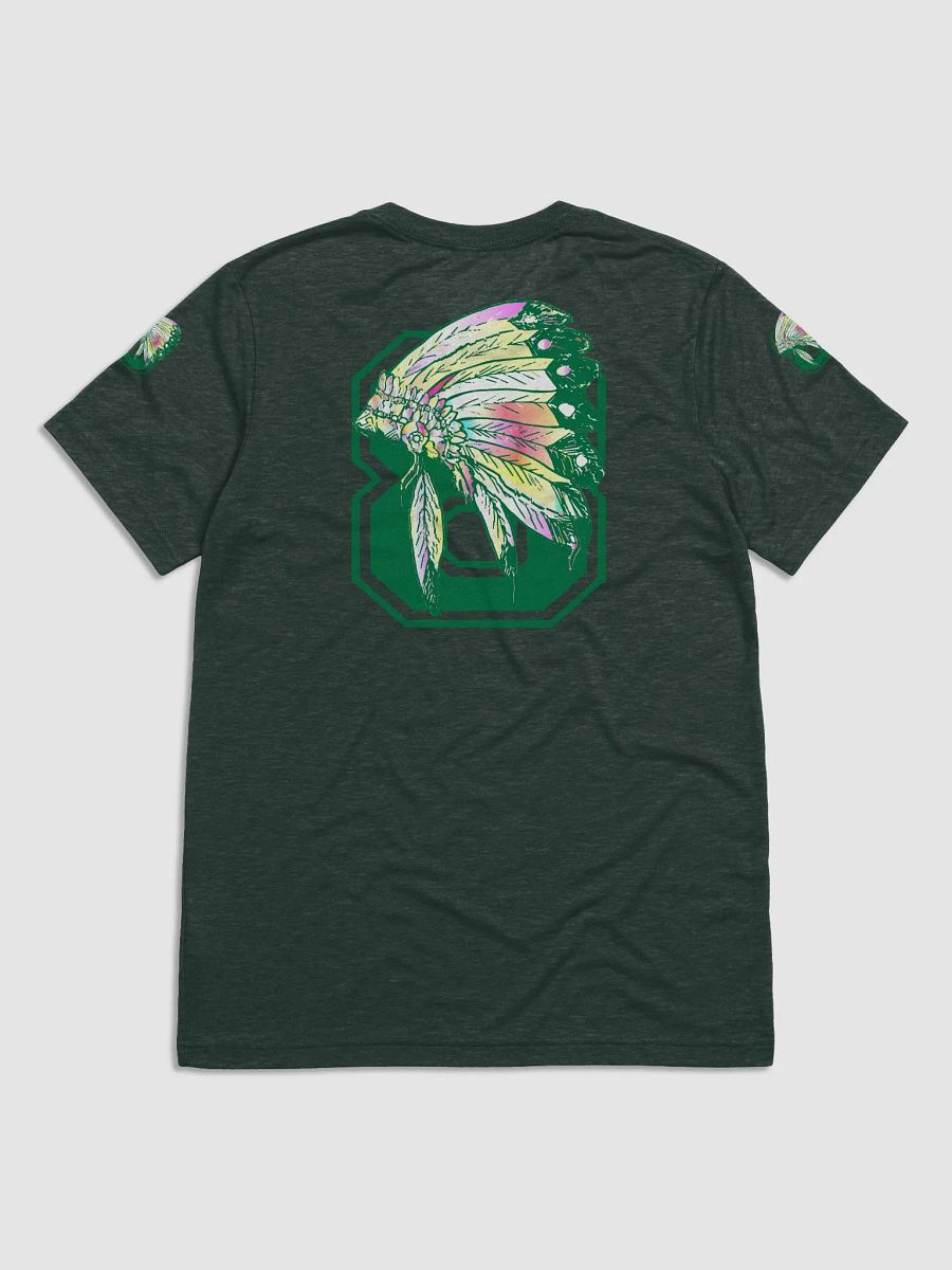 Feathered Dreams - GREEN | Triblend Tee product image (22)