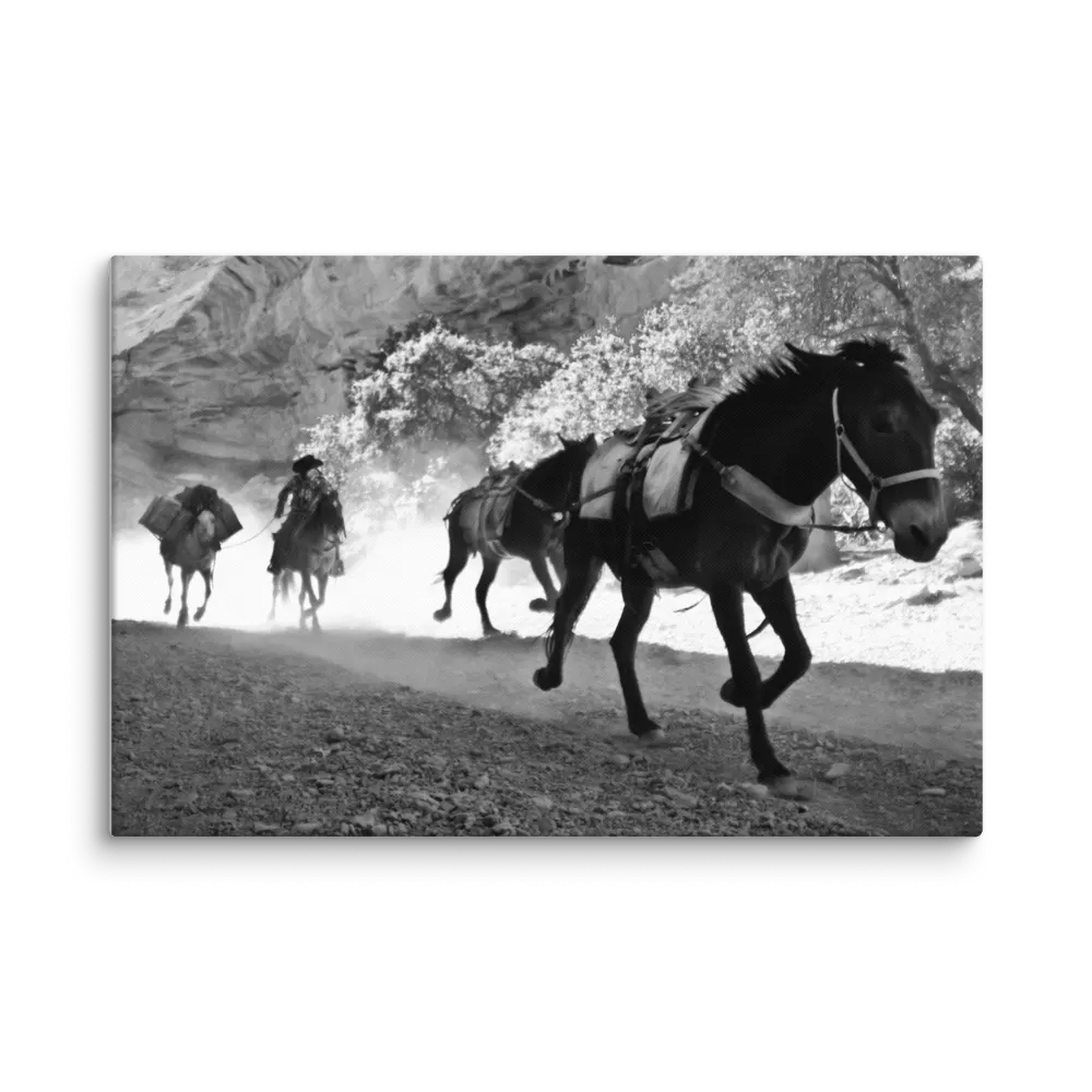 The Last Postman product image (1)