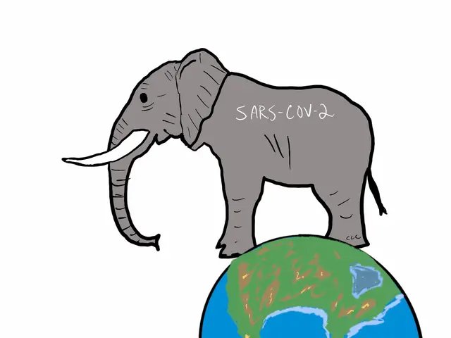 Still can’t see me? #fyp #sarscov2 #elephant #covid19 #fyppppppppppppppppppppppp 