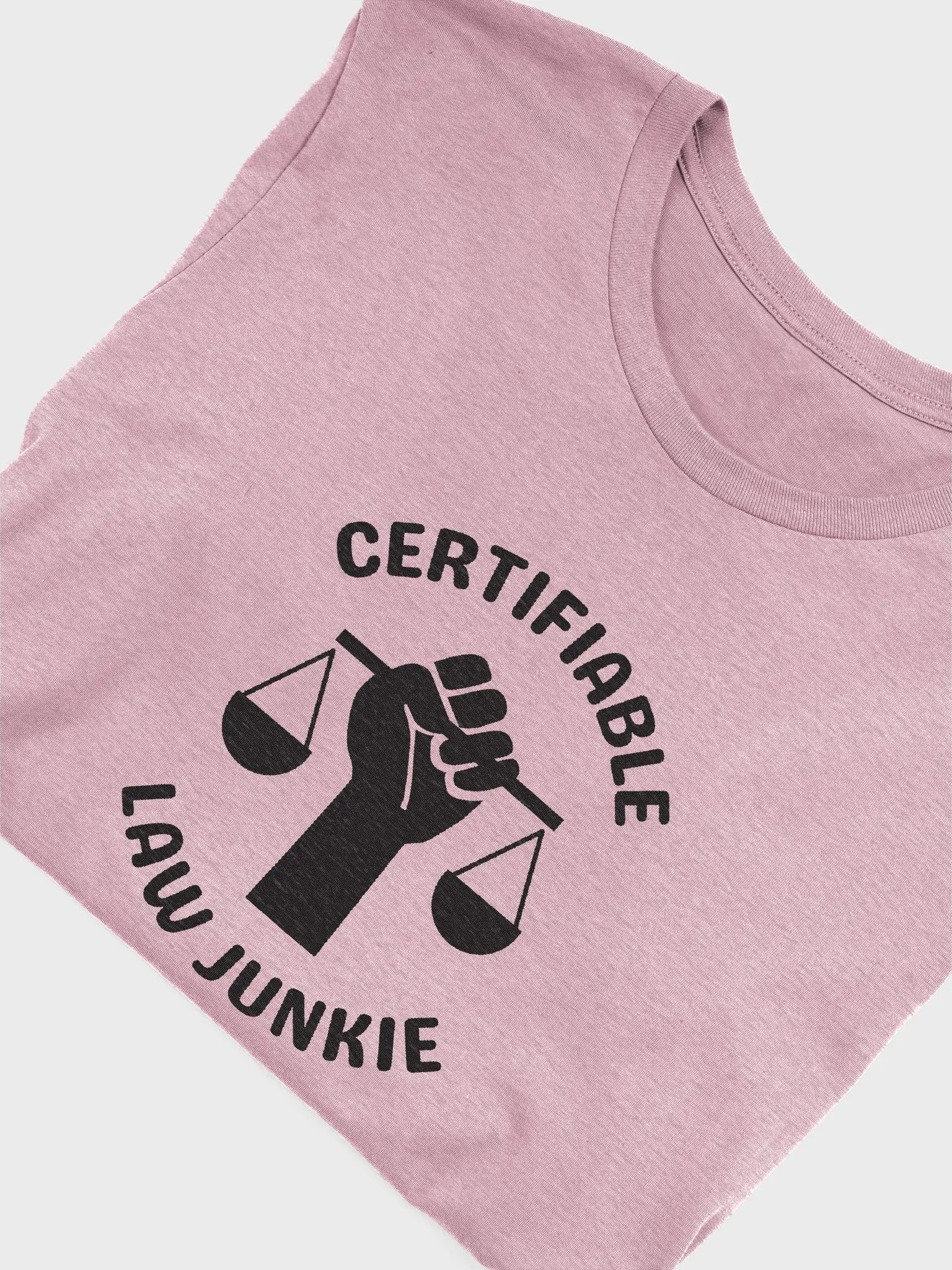 Certifiable Law Junkie Short Sleeve T-Shirt product image (7)