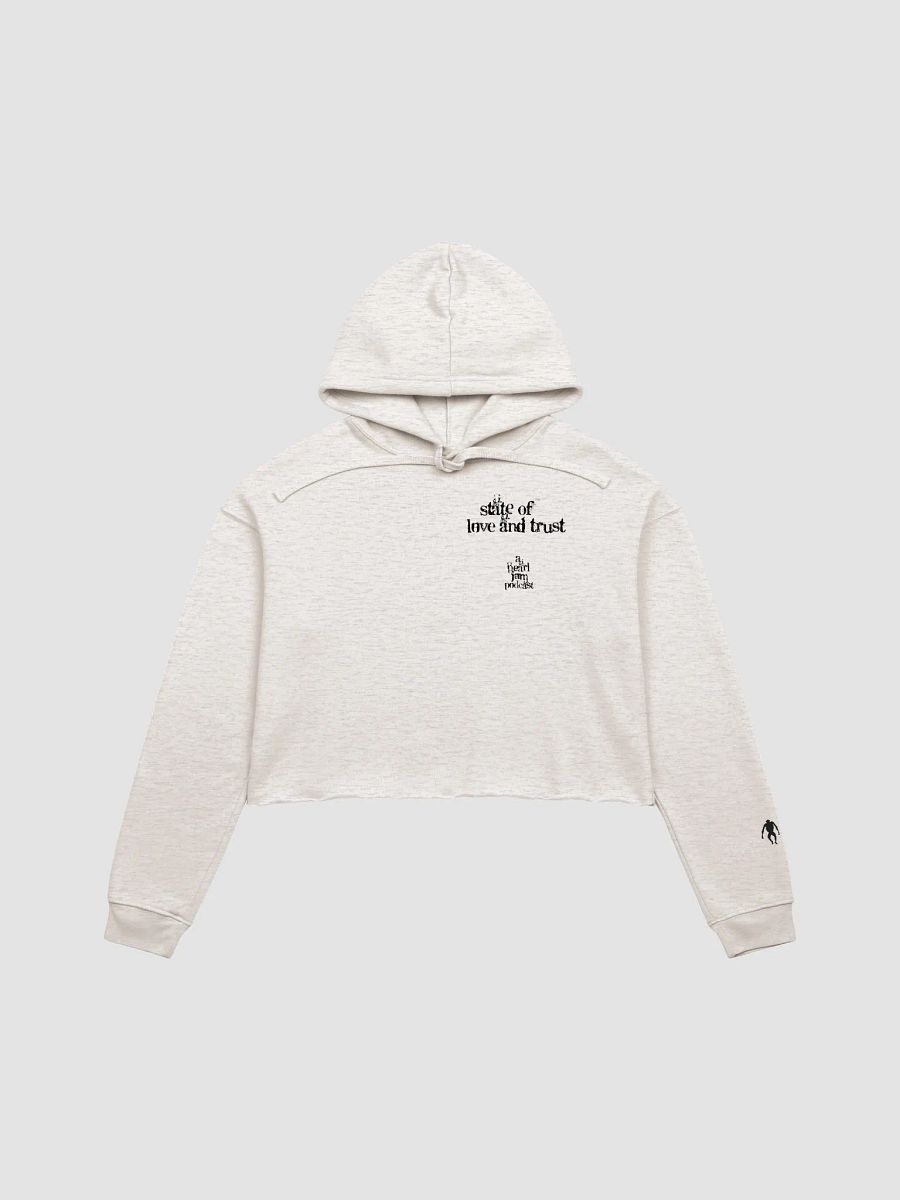 In The Year 2000 Crop Hoodie product image (1)