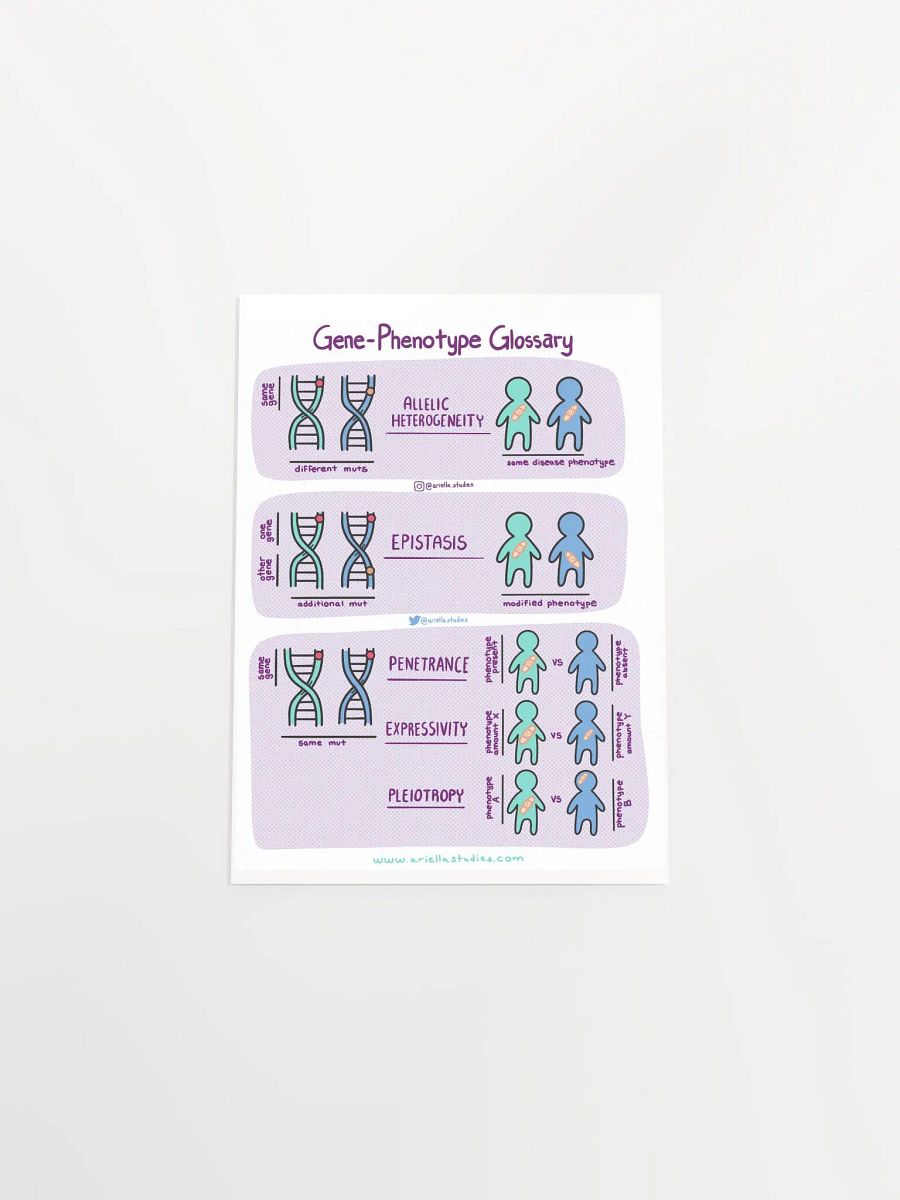 Gene-Phenotype Poster product image (4)