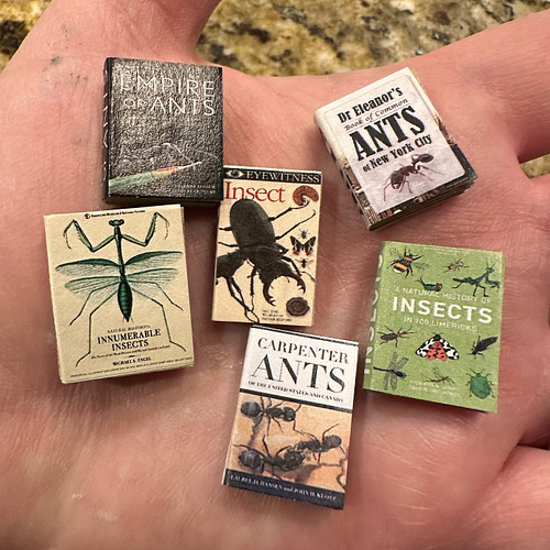 Oh my goodness… these tiny ant and entomology books are incredible! Thank you, @lilliputstreasures ! #miniatures #entomology