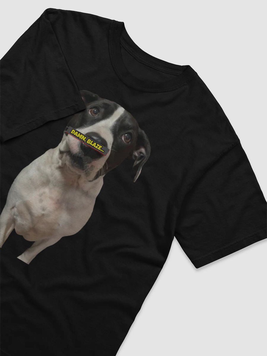 BLAZE A SWISHA Stylized T-Shirt product image (3)