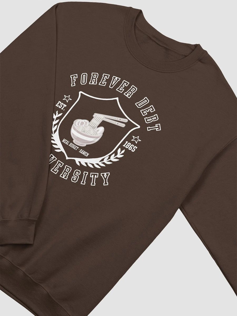 Forever Debt University - Ramen Budget Sweatshirt product image (15)