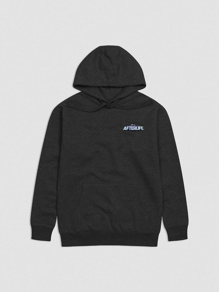 AfterLife Embroidered Hoodie product image (2)