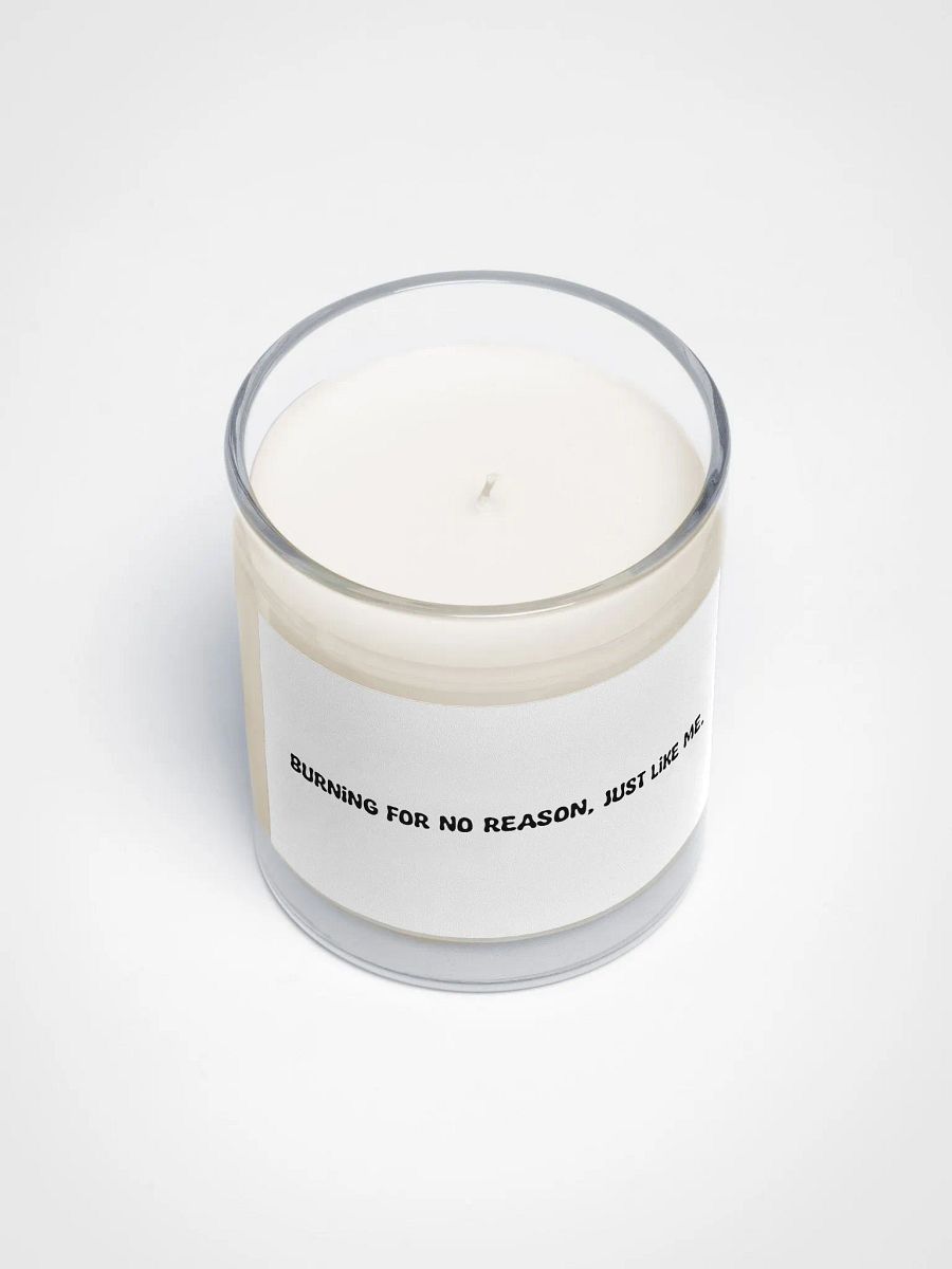 Burning for no reason, just like me candle product image (3)