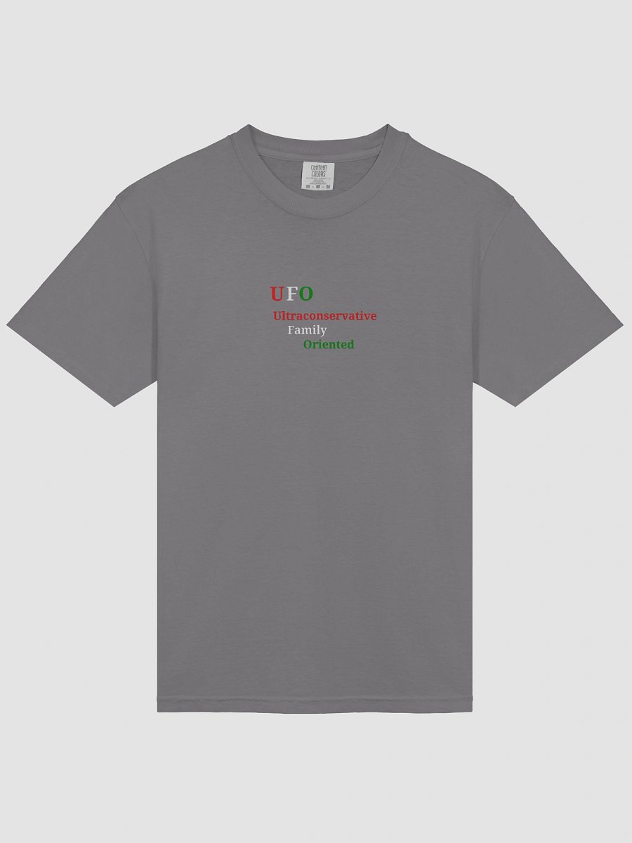 UFO Ultraconservative Family Oriented Men's Tee product image (3)