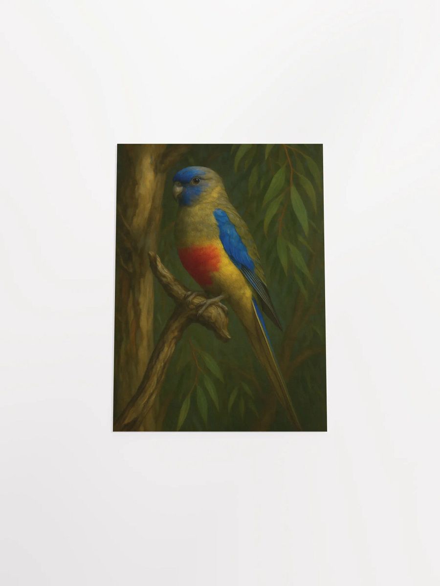 Blue Bonnet Parrot. product image (12)