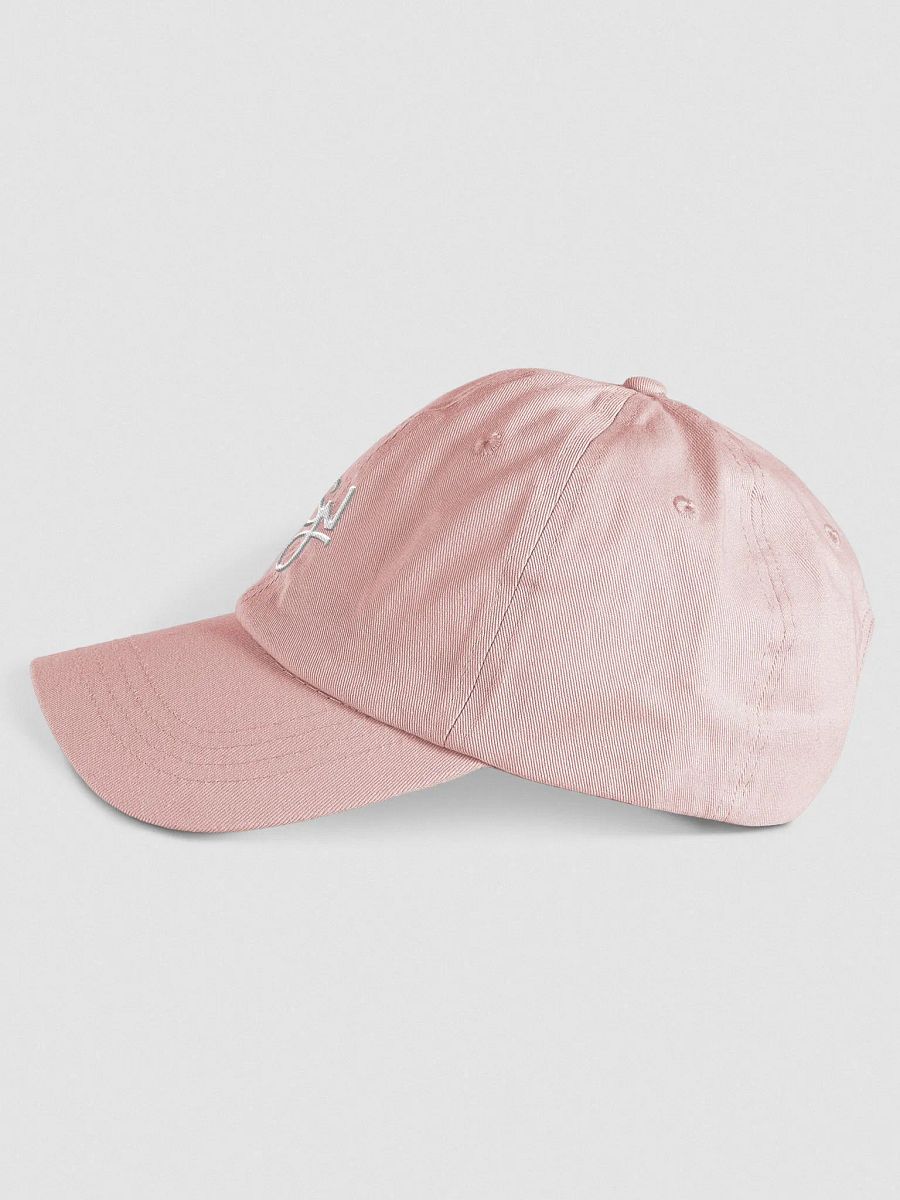 Syn Pastel Dad Hat product image (3)
