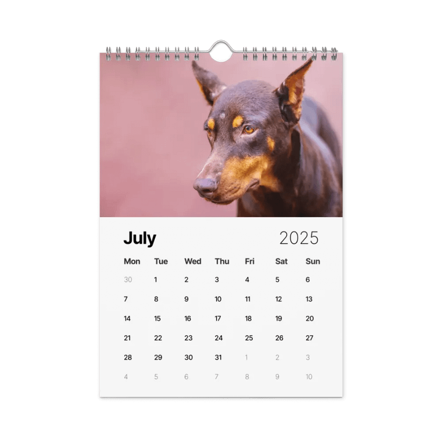 The first year - 2025 Calendar product image (8)