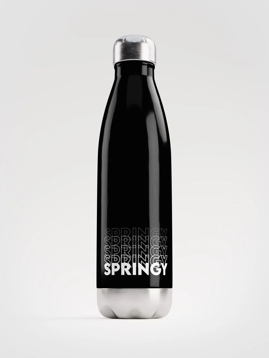 Springy Metal Bottle! product image (4)